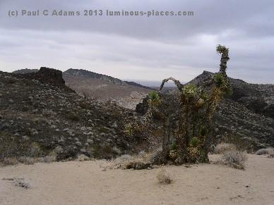 Joshua Tree Death Valley California