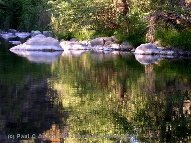 Arroyo
                          Seco,Los Padres National Forrest